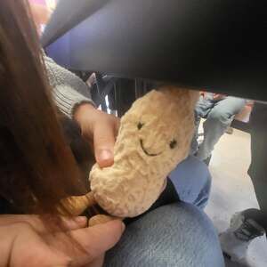 Meet your Posher, Anayancy